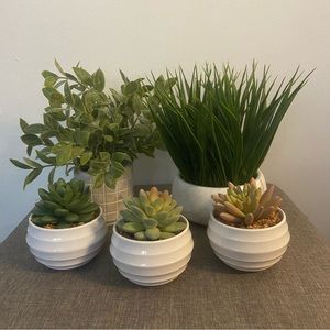 Faux Plant Set